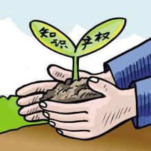 河南大象律師事務(wù)所